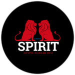 Spirit MMA